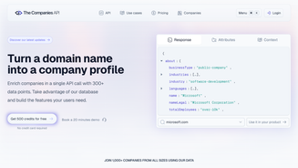 Screenshot of The Companies API